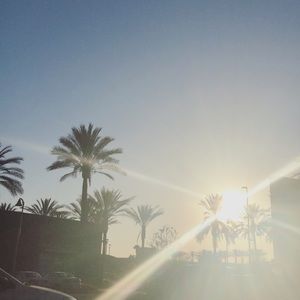 Meet your Posher, Jayce